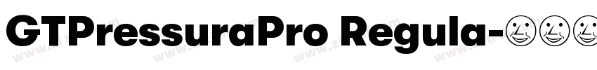GTPressuraPro Regula字体转换